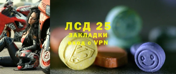 дживик Белокуриха