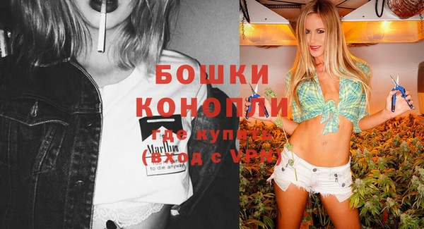 ПСИЛОЦИБИНОВЫЕ ГРИБЫ Беломорск