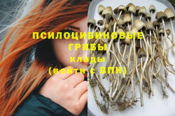 мяу мяу мука Белоозёрский