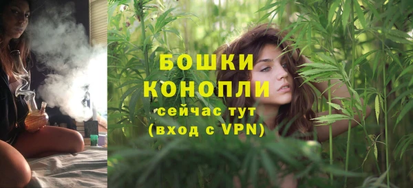 дживик Белокуриха