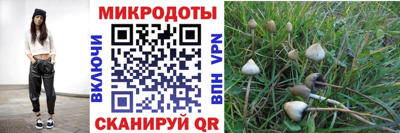 Галлюциногенные грибы Psilocybine cubensis  Гай 