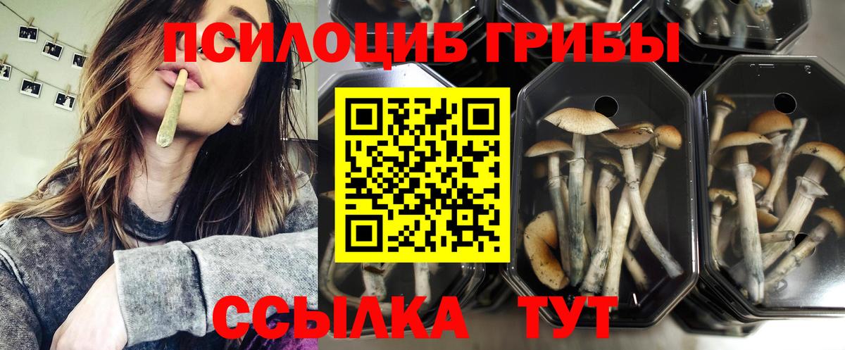 Галлюциногенные грибы ЛСД Гай