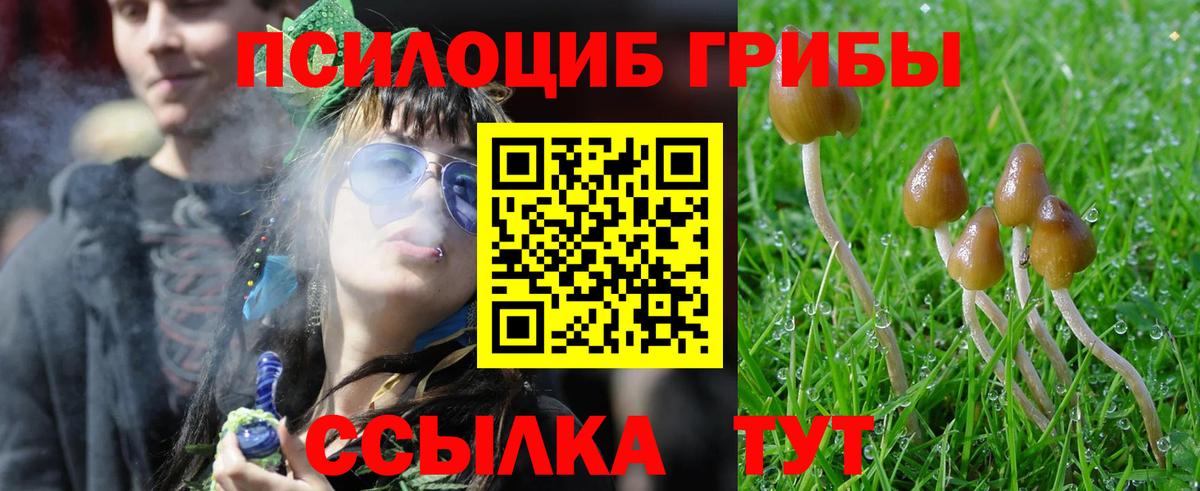 Галлюциногенные грибы прущие грибы  Вход с VPN  Гай  Псилоцибиновые грибы MAGIC MUSHROOMS 