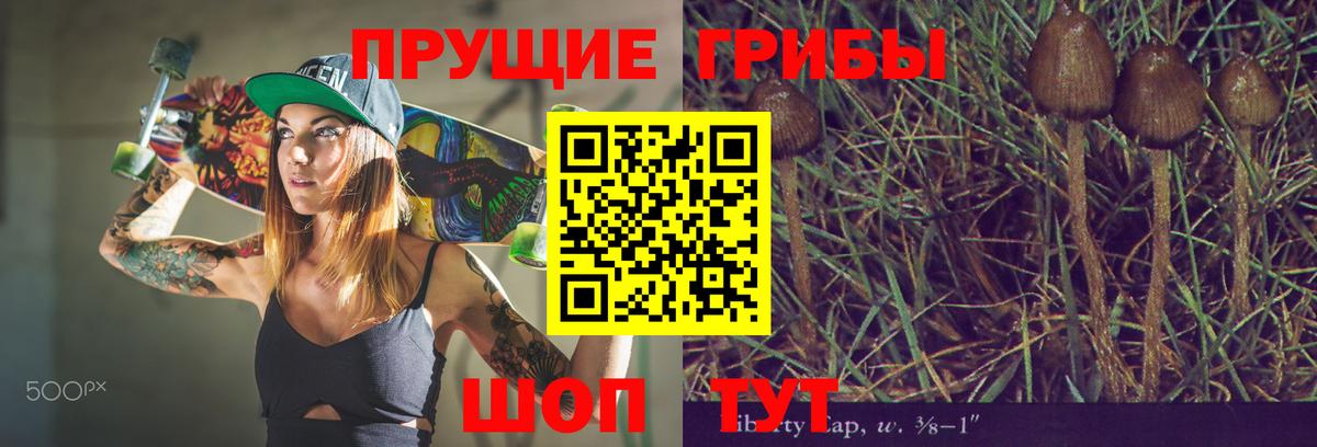 Псилоцибиновые грибы Psilocybine cubensis  Псилоцибиновые грибы MAGIC MUSHROOMS  Гай 