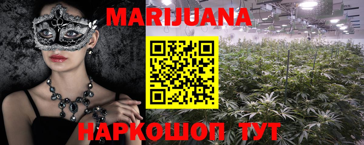 Конопля ГИДРОПОН Гай